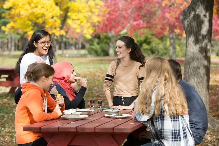 A group of diverse students enjoying a picnic outdoors, illustrating various misunderstandings that might arise.