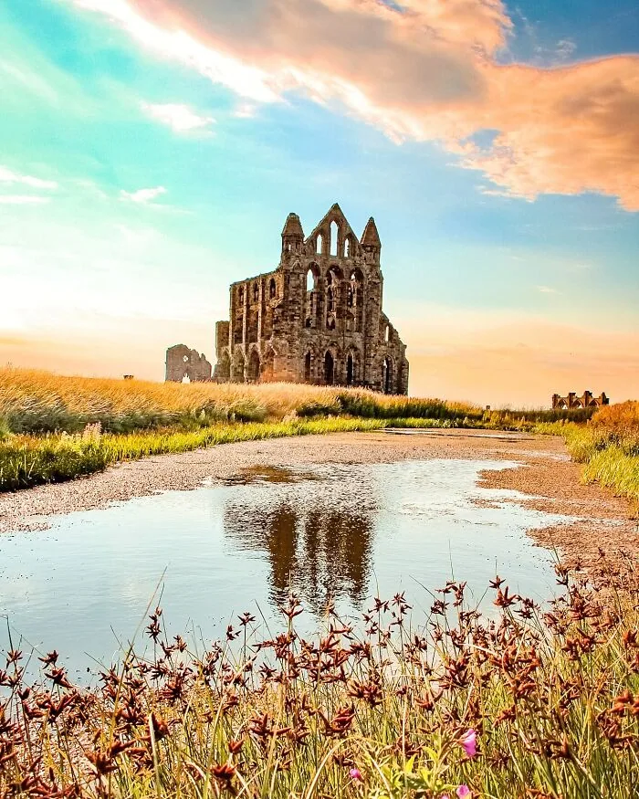 Abbey-Solutely
