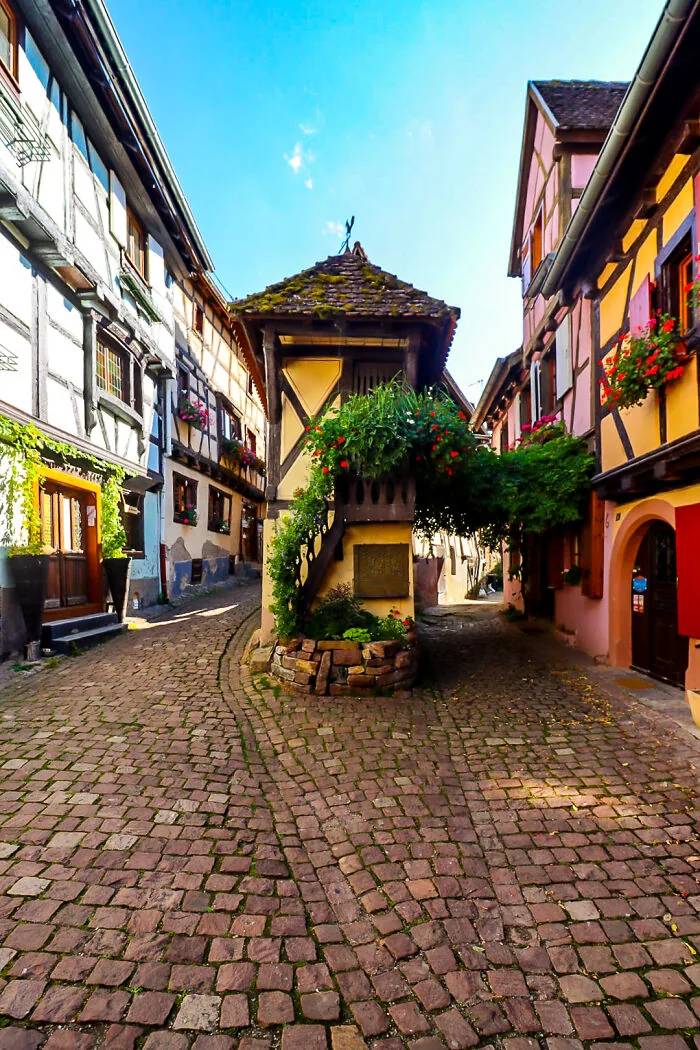 Alsace Yourself