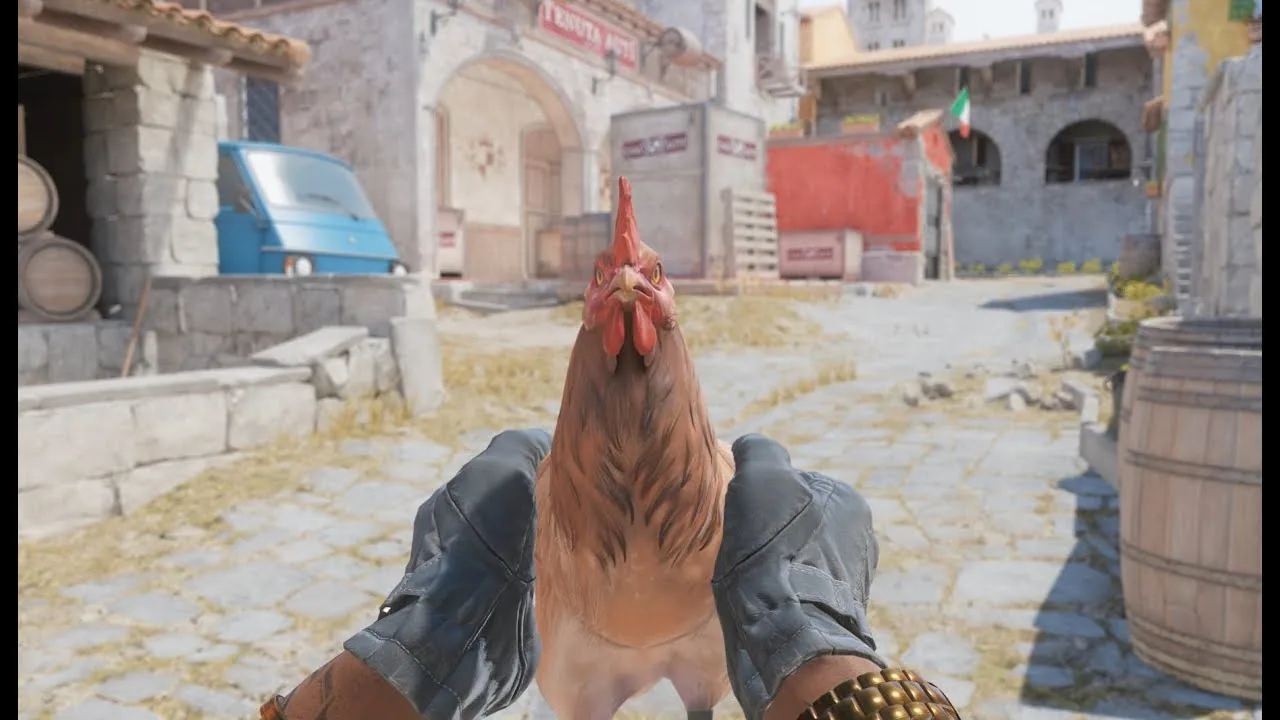 cs2 tavuk