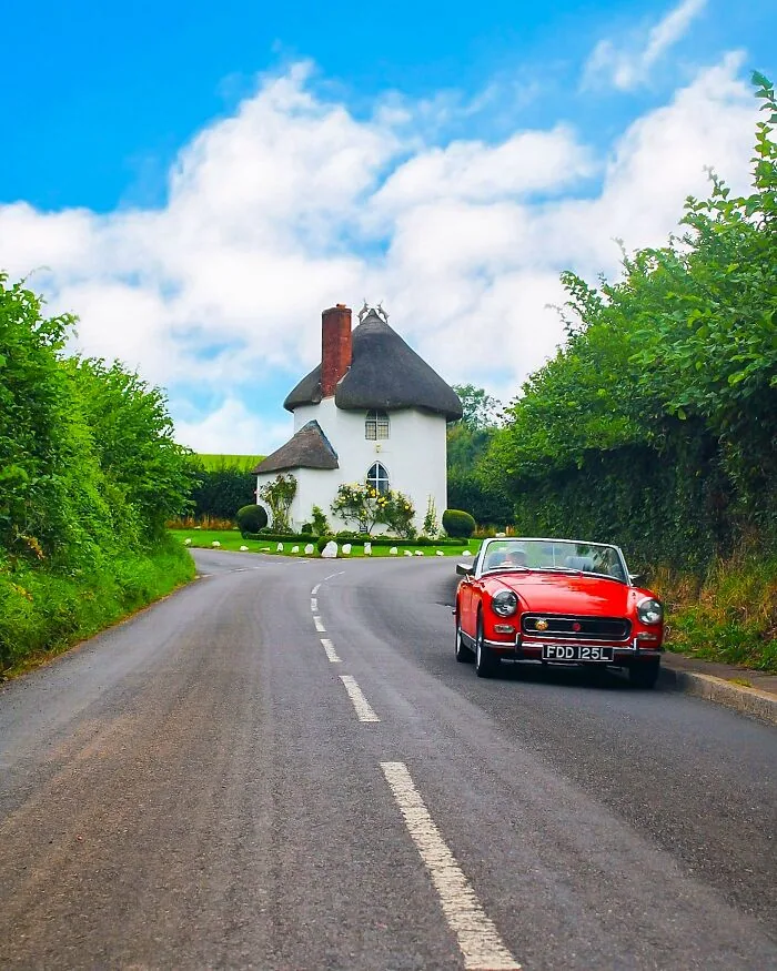 Thatch Of The Day