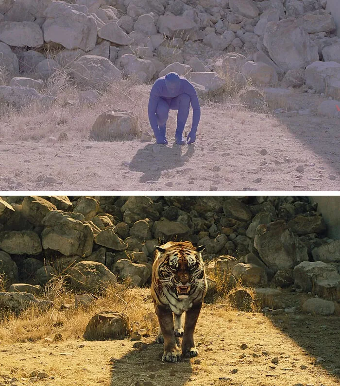 Tiger In Westworld. I Can't Even