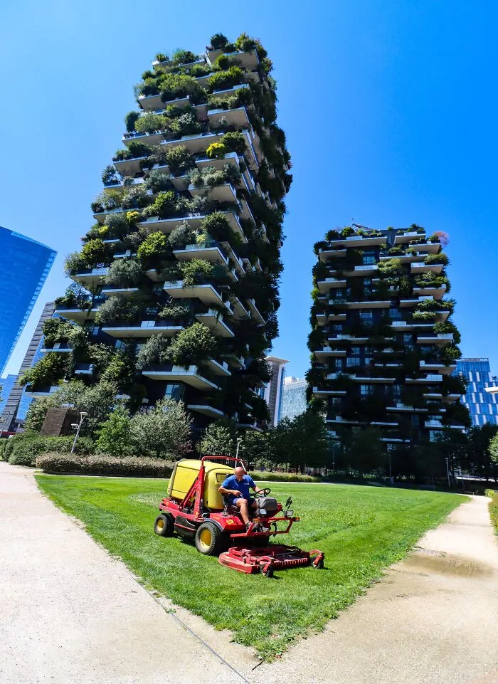 Tree-Mendous Towers